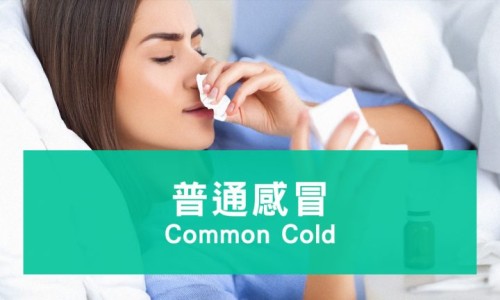 减肥期间能吃红薯叶吗?-减肥期间能吃红薯吗专区_减肥期间能吃红薯叶吗会胖吗专区_减肥期间能吃红薯叶吗网