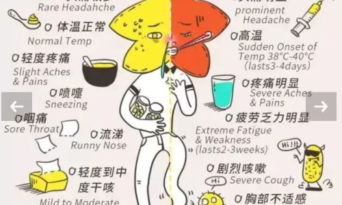 减肥期间能吃红薯吗-减肥期间能吃红薯吗专区_减肥期间能吃红薯叶吗会胖吗专区_减肥期间能吃红薯叶吗网