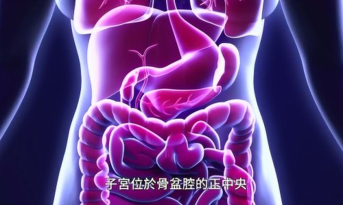 减肥期间能吃红薯吗专区_减肥期间能吃红薯叶吗会胖吗专区_减肥期间能吃红薯叶吗网